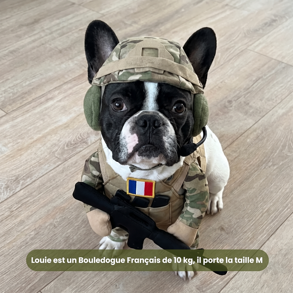 Déguisement Soldat pour Chien