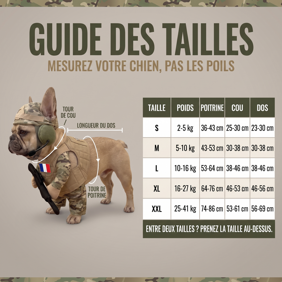 Déguisement Soldat pour Chien